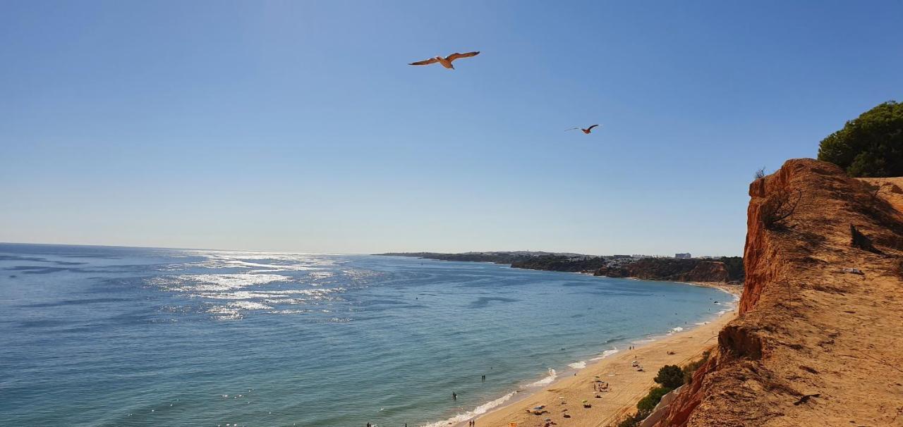 Apt P209 Situe Au Sein De Balaia Golf Village Albufeira Ngoại thất bức ảnh