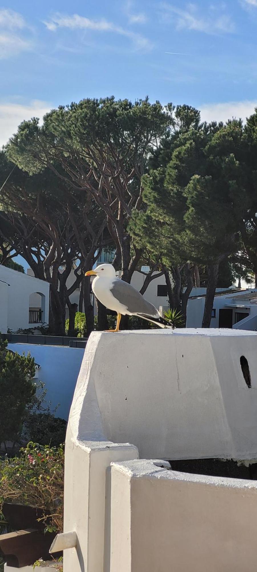 Apt P209 Situe Au Sein De Balaia Golf Village Albufeira Ngoại thất bức ảnh
